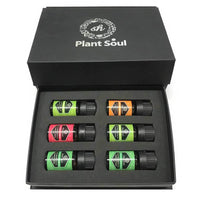 Thumbnail for Essential Oils Gift Box - 6 x 10ml Bottles Gift Pack Plant Soul Oil Selection