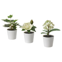 Thumbnail for 3 Pack of Artificial Potted Plants in White Plastic 6cm Pot Interior Decoration