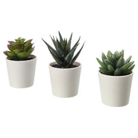 Thumbnail for 3 Pack of Artificial Succulent Potted Plants in White Plastic 6cm Pot Interior Decoration