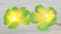 Thumbnail for 1 Set of 20 LED Green Frangipani Flower Battery String Lights Christmas Gift Home Wedding Party Decoration Outdoor Table Garland Wreath