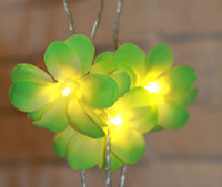 Thumbnail for 1 Set of 20 LED Green Frangipani Flower Battery String Lights Christmas Gift Home Wedding Party Decoration Outdoor Table Garland Wreath