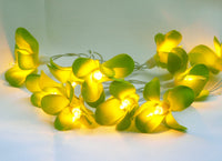 Thumbnail for 1 Set of 20 LED Green Frangipani Flower Battery String Lights Christmas Gift Home Wedding Party Decoration Outdoor Table Garland Wreath