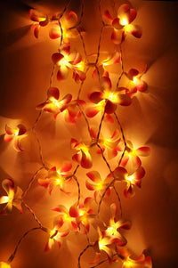 Thumbnail for 1 Set of 20 LED Orange Frangipani Flower Battery String Lights Christmas Gift Home Wedding Party Decoration Outdoor Table Garland Wreath