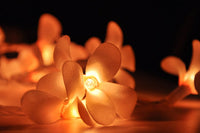 Thumbnail for 1 Set of 20 LED Orange Frangipani Flower Battery String Lights Christmas Gift Home Wedding Party Decoration Outdoor Table Garland Wreath