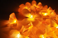 Thumbnail for 1 Set of 20 LED Orange Frangipani Flower Battery String Lights Christmas Gift Home Wedding Party Decoration Outdoor Table Garland Wreath