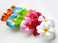 Thumbnail for 1 Set of 20 LED Tropical Bright Colous Frangipani Flower Battery String Lights Christmas Gift Home Wedding Party Decoration Outdoor Table Centrepiece