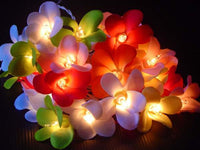 Thumbnail for 1 Set of 20 LED Tropical Bright Colous Frangipani Flower Battery String Lights Christmas Gift Home Wedding Party Decoration Outdoor Table Centrepiece