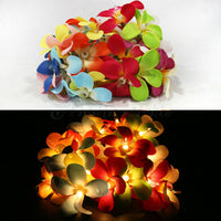 Thumbnail for 1 Set of 20 LED Tropical Bright Colous Frangipani Flower Battery String Lights Christmas Gift Home Wedding Party Decoration Outdoor Table Centrepiece