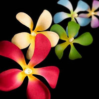 Thumbnail for 1 Set of 20 LED Tropical Bright Colous Frangipani Flower Battery String Lights Christmas Gift Home Wedding Party Decoration Outdoor Table Centrepiece