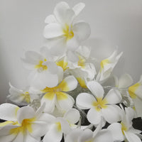 Thumbnail for 1 Set of 20 LED White Frangipani Flower Battery String Lights Christmas Gift Home Wedding Beach Party Decoration Outdoor Table Centrepiece