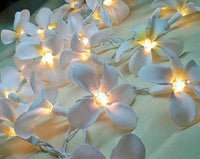 Thumbnail for 1 Set of 20 LED White Frangipani Flower Battery String Lights Christmas Gift Home Wedding Beach Party Decoration Outdoor Table Centrepiece