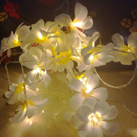 Thumbnail for 1 Set of 20 LED White Frangipani Flower Battery String Lights Christmas Gift Home Wedding Beach Party Decoration Outdoor Table Centrepiece