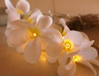 Thumbnail for 1 Set of 20 LED White Frangipani Flower Battery String Lights Christmas Gift Home Wedding Beach Party Decoration Outdoor Table Centrepiece