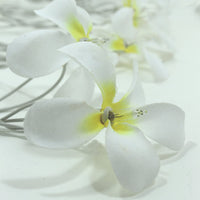 Thumbnail for 1 Set of 20 LED White Frangipani Flower Battery String Lights Christmas Gift Home Wedding Beach Party Decoration Outdoor Table Centrepiece