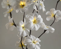 Thumbnail for 1 Set of 50cm H 20 LED White Frangipani Tree Branch Stem Fairy Light Wedding Event Party Function Table Vase Centrepiece Decoration