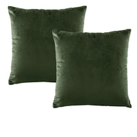 Thumbnail for Bianca Pair of Vivid Coordinates Forest Green Velvet European Pillowcases