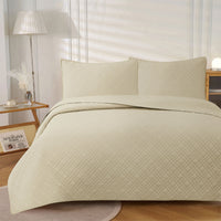 Thumbnail for Jane Barrington Morris Beige Ultrasonic Embossed Lightly Quilted Reversible Coverlet Set Queen