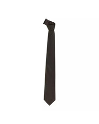 Thumbnail for Point Pin Tie - 80mm Width One Size Men