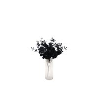 Thumbnail for Faux Nordic Black Eucalyptus Leaf Stem