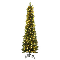 Thumbnail for Jingle Jollys Christmas Tree 1.8m Pre-Lit 200 LED Lights Xmas Tree Decorations